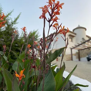 https://villa-sunshine-frigiliana.1costadelsol.com